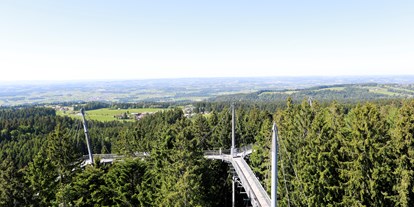 Hotels und Ferienwohnungen im Oberallgäu - Kategorien: Freizeitpark - Scheidegg - Skywalk in Scheidegg im Allgäu / Westallgäu - Skywalk in Scheidegg im Allgäu / Westallgäu