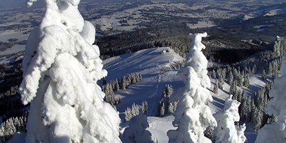 Hotels und Ferienwohnungen im Oberallgäu - Saison: Winter - Bayern - Grüntenlifte Rettenberg / Kranzegg