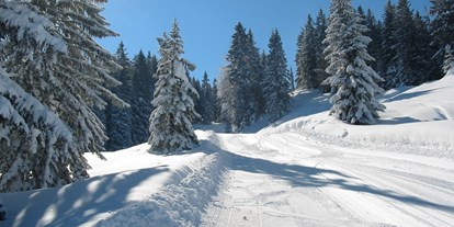 Hotels und Ferienwohnungen im Oberallgäu - Saison: Winter - Balderschwang - Skigebiete Balderschwang - Riedbergerhorn im Allgäu - Skigebiet Balderschwang - Riedbergerhorn im Allgäu