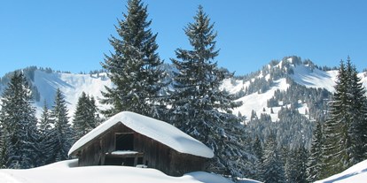 Hotels und Ferienwohnungen im Oberallgäu - Saison: Winter - Balderschwang - Skigebiete Balderschwang - Riedbergerhorn im Allgäu - Skigebiet Balderschwang - Riedbergerhorn im Allgäu