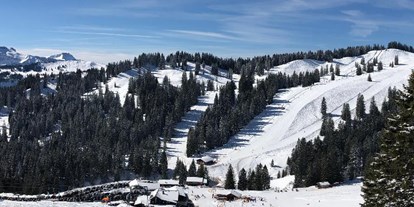 Hotels und Ferienwohnungen im Oberallgäu - Wetter: bei jedem Wetter - Obermaiselstein - Skigebiet Grasgehren am Riedbergpass im Oberallgäu - Sonnen- Skiparadies Grasgehren am Riedbergpass