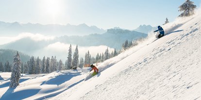Hotels und Ferienwohnungen im Oberallgäu - Kategorien: Skigebiet - Deutschland - Skigebiet Grasgehren - Obermaiselstein / Balderschwang - Sonnen- Skiparadies Grasgehren am Riedbergpass