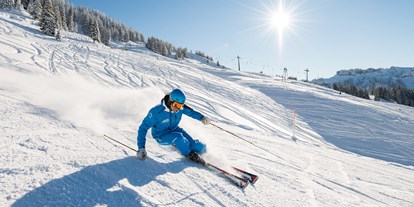 Hotels und Ferienwohnungen im Oberallgäu - Kategorien: Skigebiet - Obermaiselstein - Sonnenparadies Grasgehren am Riedbergpass im Oberallgäu - Sonnen- Skiparadies Grasgehren am Riedbergpass