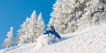 Hotels und Ferienwohnungen im Oberallgäu - Kategorien: Naturerlebnis - Deutschland - Skigebiet Grasgehren - Obermaiselstein / Balderschwang - Sonnen- Skiparadies Grasgehren am Riedbergpass