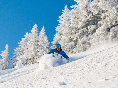 Hotels und Ferienwohnungen im Oberallgäu - Saison: Winter - Oberallgäu - Skigebiet Grasgehren - Obermaiselstein / Balderschwang - Sonnen- Skiparadies Grasgehren am Riedbergpass