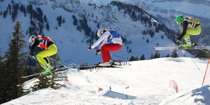 Hotels und Ferienwohnungen im Oberallgäu - Kategorien: Naturerlebnis - Oberallgäu - Skicross - Bundesstützpunkt Grasgehren  - Sonnen- Skiparadies Grasgehren am Riedbergpass