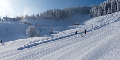 Hotels und Ferienwohnungen im Oberallgäu - Kategorien: Bergbahn - Skigebiete Allgäu -und Kleinwalsertal - die Heubergarena  - Parsenn- und Heubergarena - Skiliftverbund im Kleinwalsertal