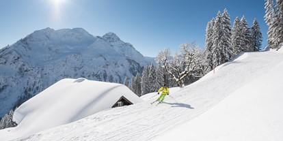 Hotels und Ferienwohnungen im Oberallgäu - Kategorien: Outdoorattraktion - Riezlern - Walmendingerhornbahn - Skigebiete im Kleinwalsertal -  Winterparadies Walmendingerhornbahn im Kleinwalsertal