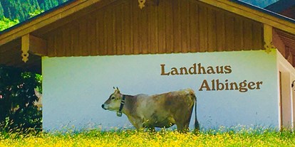 Hotels und Ferienwohnungen im Oberallgäu - Ausstattung: bedingt behindertengerecht - Balderschwang Wäldle - KUhler Besuch im Wäldle - Albingers Landhaus
