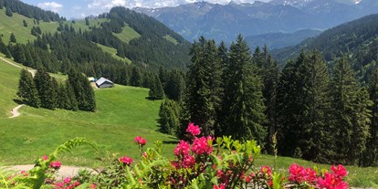 Hotels und Ferienwohnungen im Oberallgäu - Reisegrund: Skiurlaub - Sommerurlaub in Oberstdorf im Allgäu - Besler - Gästehaus & Ferienwohnungen