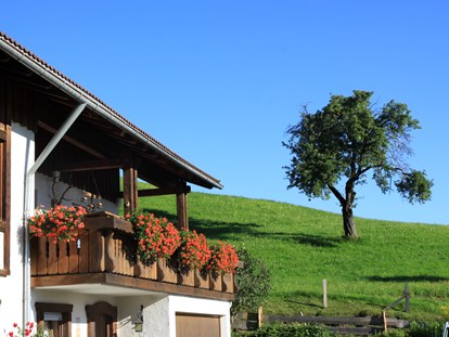 Hotels und Ferienwohnungen im Oberallgäu - Ausstattung: bedingt allergikergerecht - Berghaus Christiane 

 - Berghaus Christiane - Steibis im Allgäu
