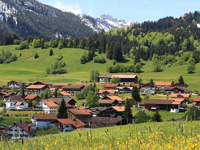 Hotels und Ferienwohnungen im Oberallgäu - Reisegrund: Familienurlaub - Ferienwohnungen im Allgäu - Gästehaus Dauser in Obermaiselstein - Gästehaus Dauser - Ferienwohnungen in Obermaiselstein
