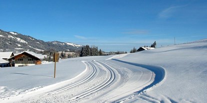 Hotels und Ferienwohnungen im Oberallgäu - Freizeit: Skifahren - Oberallgäu - Ferienwohnungen im Allgäu - Gästehaus Dauser in Obermaiselstein - Gästehaus Dauser - Ferienwohnungen in Obermaiselstein