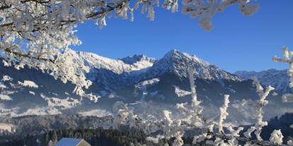 Hotels und Ferienwohnungen im Oberallgäu - Reisegrund: Skiurlaub - Oberallgäu - Pension Forelle mit Halbpension in Obermaiselstein im Allgäu - Ferienpension Forelle
