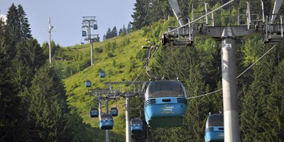 Hotels und Ferienwohnungen im Oberallgäu - Reisegrund: Skiurlaub - Kostenlos Bergbahnen nutzen mit Bad Hindelang PLUS - Haus Meinecke - Ferienwohnungen in Bad Hindelang im Allgäu