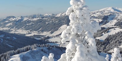 Hotels und Ferienwohnungen im Oberallgäu - Freizeit: Skifahren - Oberallgäu - Landhaus Schmid - Ferienwohnungen in Obermaiselstein im Allgäu - Ferienwohnungen Landhaus Schmid