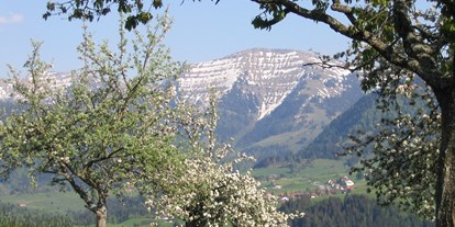 Hotels und Ferienwohnungen im Oberallgäu - Ausstattung: Parkplatz - Oberstaufen - Hochgrat bei Oberstaufen - Steibis im Allgäu - Berghof am Paradies