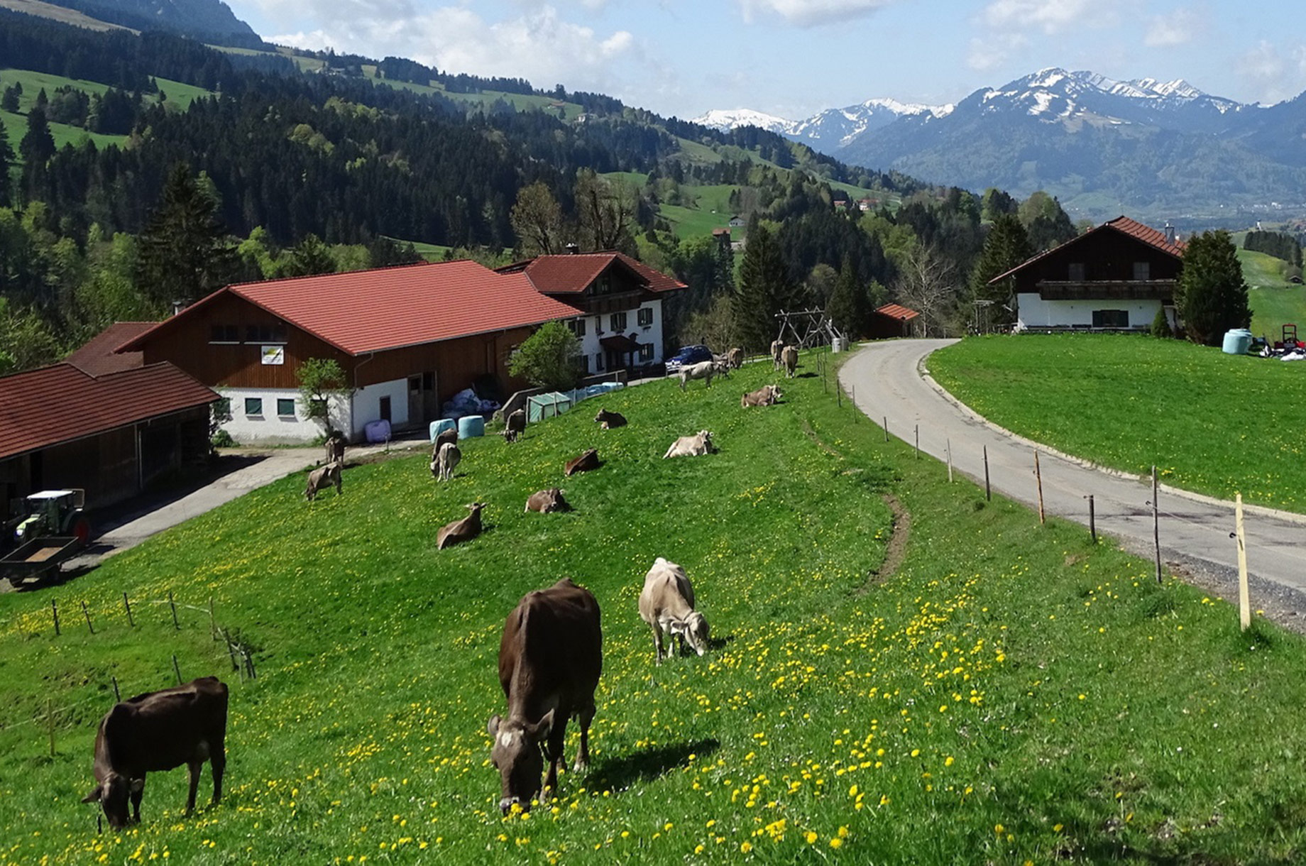 Hotels und Ferienwohnungen im Oberallgäu: Urlaub auf dem Bauernhof in Rettenberg im Allgäu - Bergbauernhof Rief in Rettenberg im Allgäu
