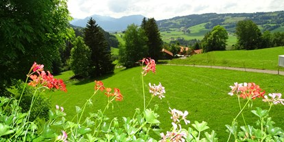 Hotels und Ferienwohnungen im Oberallgäu - Oberallgäu - Ausblick von den Wohnungen - Bergbauernhof Rief in Rettenberg im Allgäu