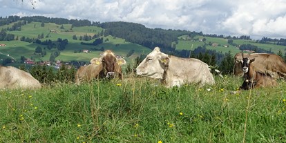 Hotels und Ferienwohnungen im Oberallgäu - Reisegrund: Familienurlaub - Deutschland - unsere Kühe dürfen noch raus auf die Weide - Bergbauernhof Rief in Rettenberg im Allgäu