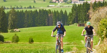 Hotels und Ferienwohnungen im Oberallgäu - Freizeit: Leihfahrräder verfügbar - Allgäu - Hanusel Hof E-Bikeverleih - Hanusel Hof