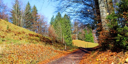 Hotels und Ferienwohnungen im Oberallgäu - Wanderweg bei Reichenbach im November 2023 - Landhaus Glaab - Gästezimmer & Ferienwohnungen