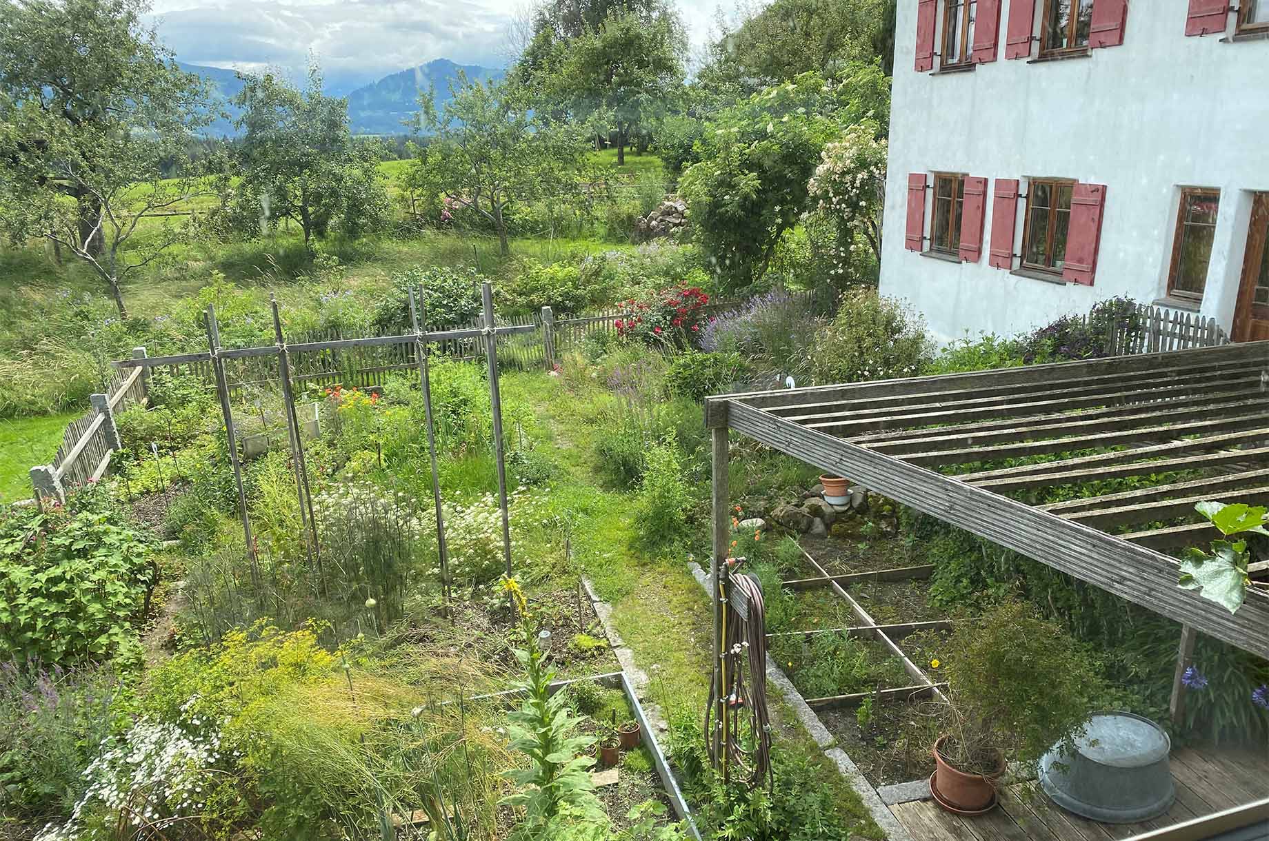 Hotels und Ferienwohnungen im Oberallgäu - Parken & Anreise: kostenlose Parkplätze - Der etwas andere Gemüsegarten - die Holderhex klärt auf - Der etwas andere Gemüsegarten - die Holderhex klärt auf