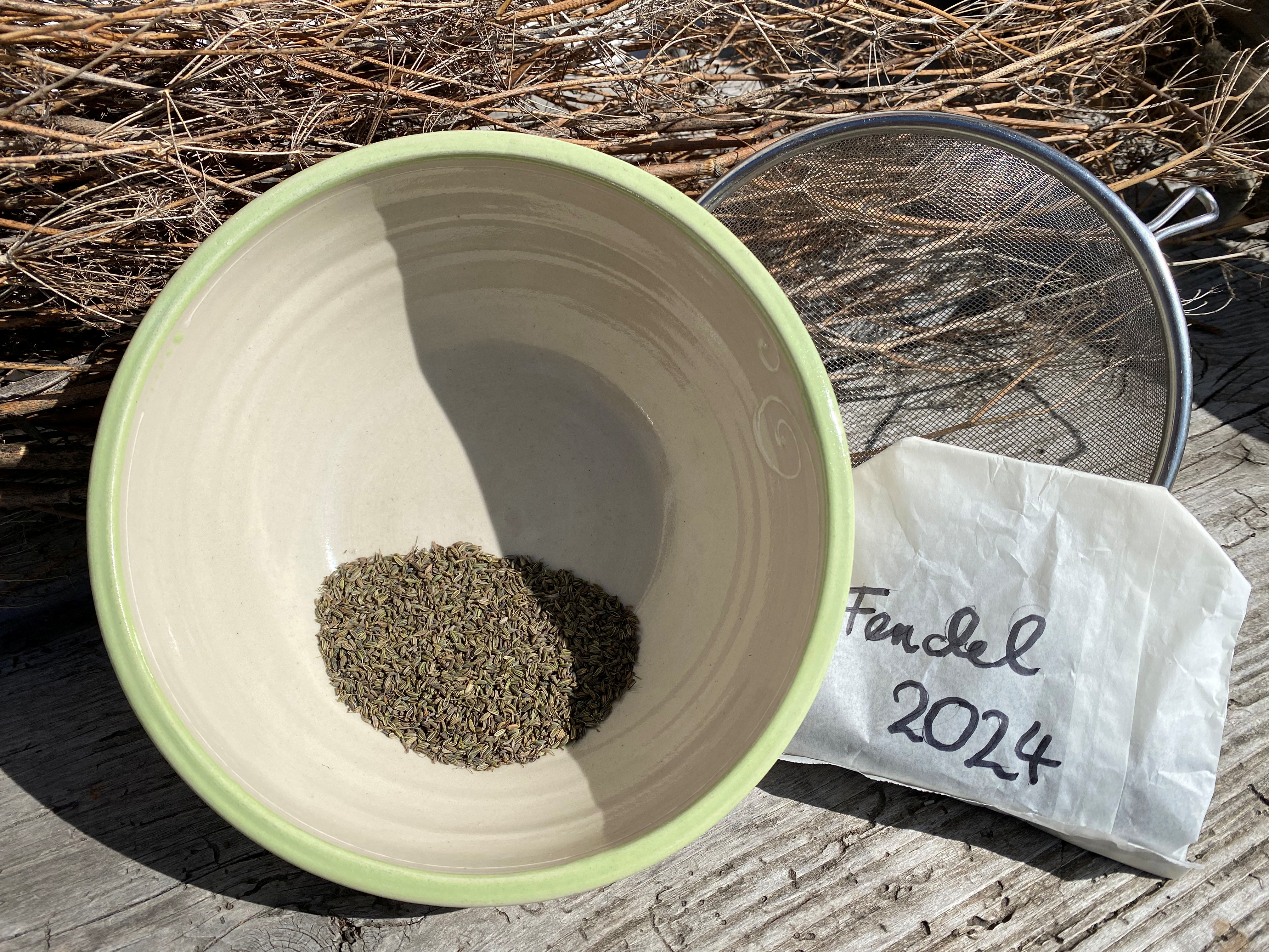 Hotels und Ferienwohnungen im Oberallgäu - Parken & Anreise: kostenlose Parkplätze - Der etwas andere Gemüsegarten - die Holderhex klärt auf - Der etwas andere Gemüsegarten - die Holderhex klärt auf