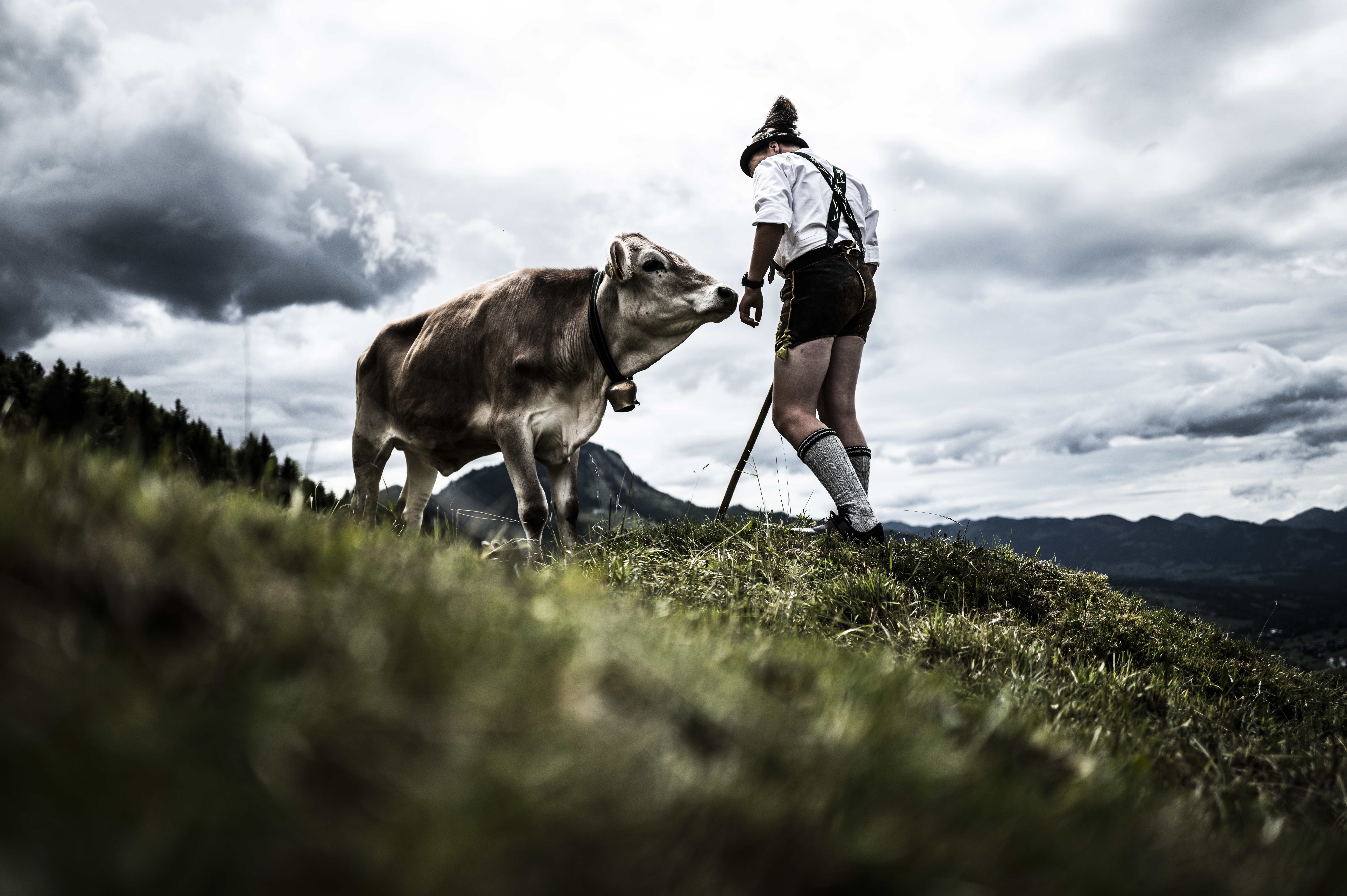 Hotels und Ferienwohnungen im Oberallgäu - Kategorien: Wanderparadies - Deine Auszeit auf der Unteren Ochsenalpe in Oberjoch - Deine Auszeit auf der Unteren Ochsenalpe in Oberjoch