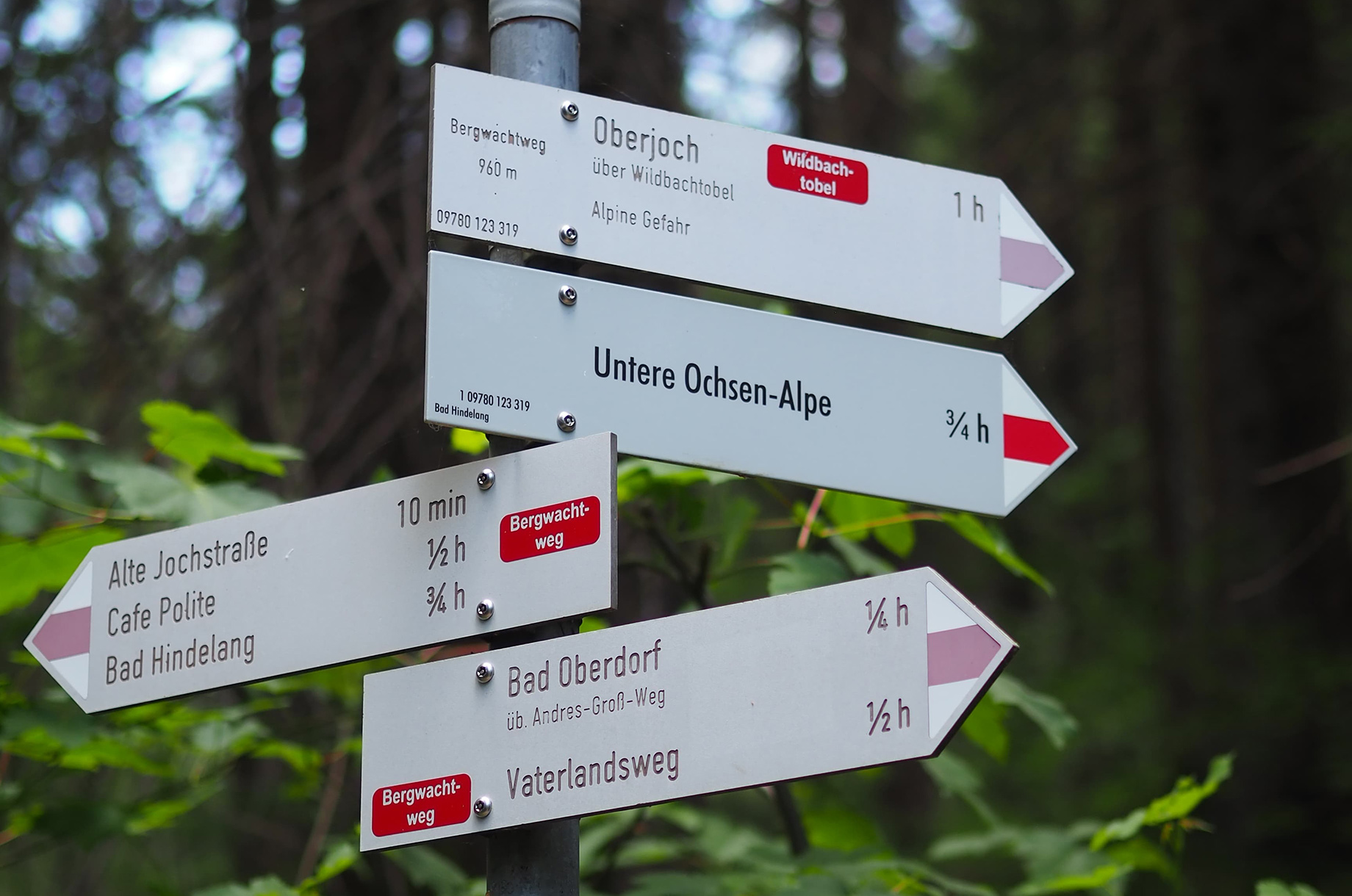 Hotels und Ferienwohnungen im Oberallgäu - Kategorien: Wanderparadies - Viele Wege führen zu uns - Deine Auszeit auf der Unteren Ochsenalpe in Oberjoch