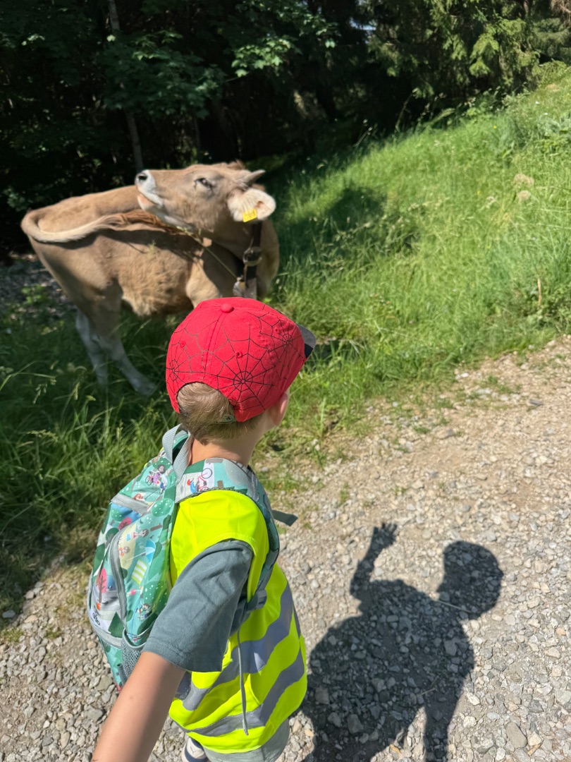 Erlebnisse im Oberallgäu: Kinderleichte Wanderung - Deine Auszeit auf der Unteren Ochsenalpe in Oberjoch