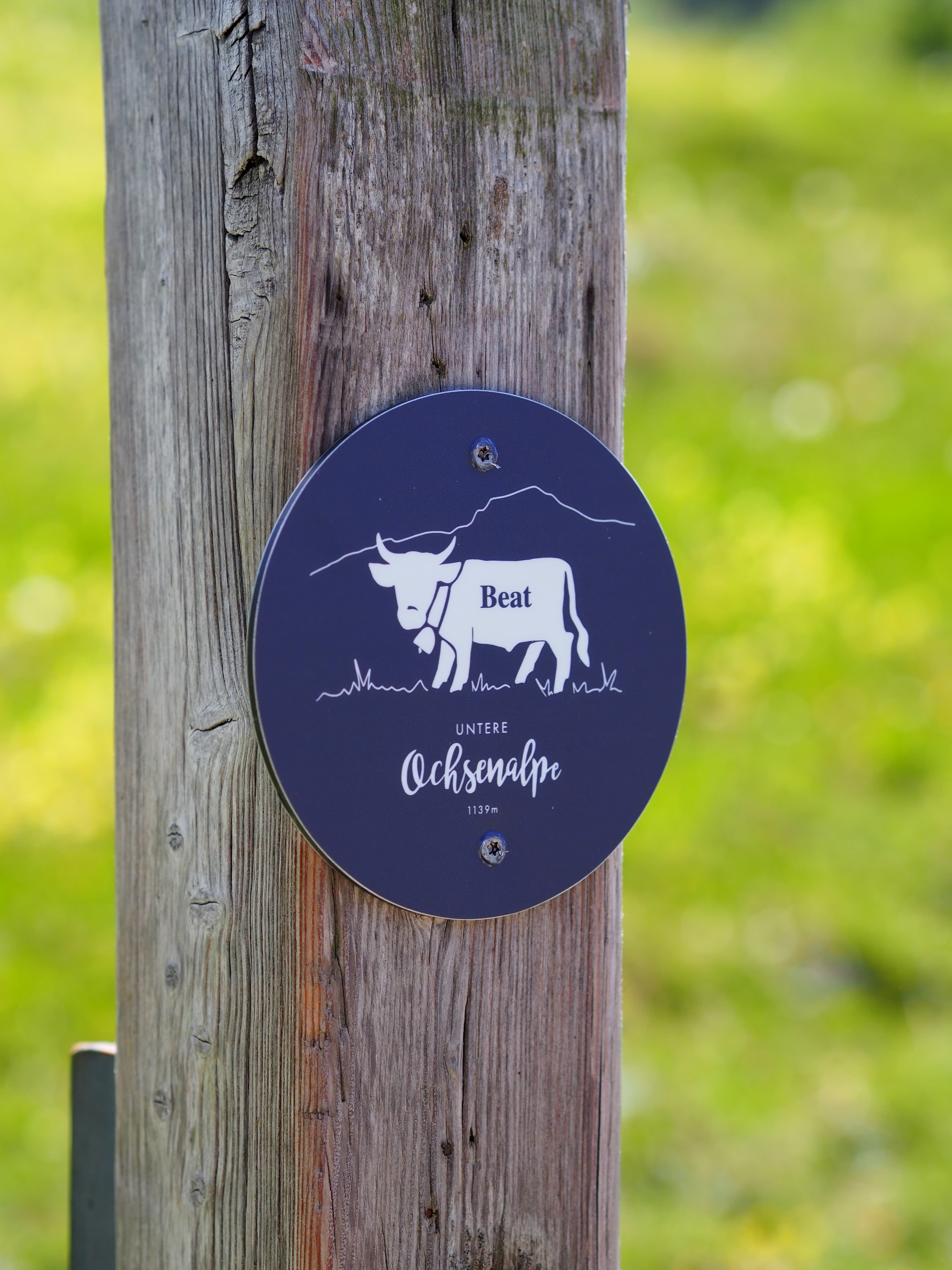 Erlebnisse im Oberallgäu: unsere versteckten Ochsen auf dem Erlebnisweg - Deine Auszeit auf der Unteren Ochsenalpe in Oberjoch