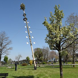 veranstaltung: 1. Mai mit Maibaumaufstellen im Allgäu