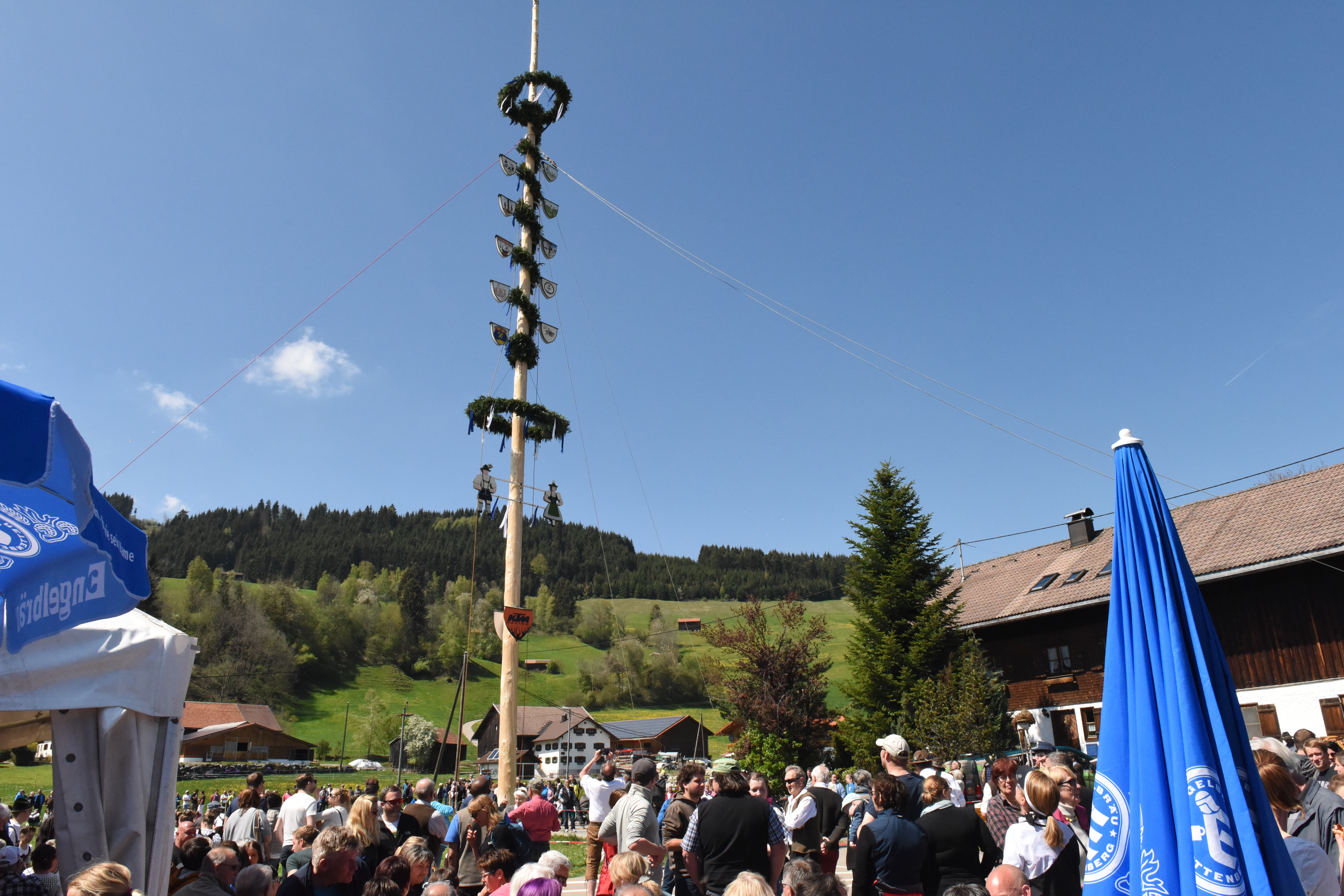 Veranstaltungen im Oberallgäu: Maibaumaufstellen mit Maibaumfest im Allgäu - Oberallgäu - 1. Mai - Maibaumaufstellen 2026 im Oberallgäu 