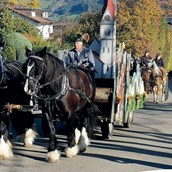 Unterkunft im Allgäu - Martiniritt mit Pferdesegnung in Blaichach - Martiniritt 2023 mit Pferdesegnung in Blaichach