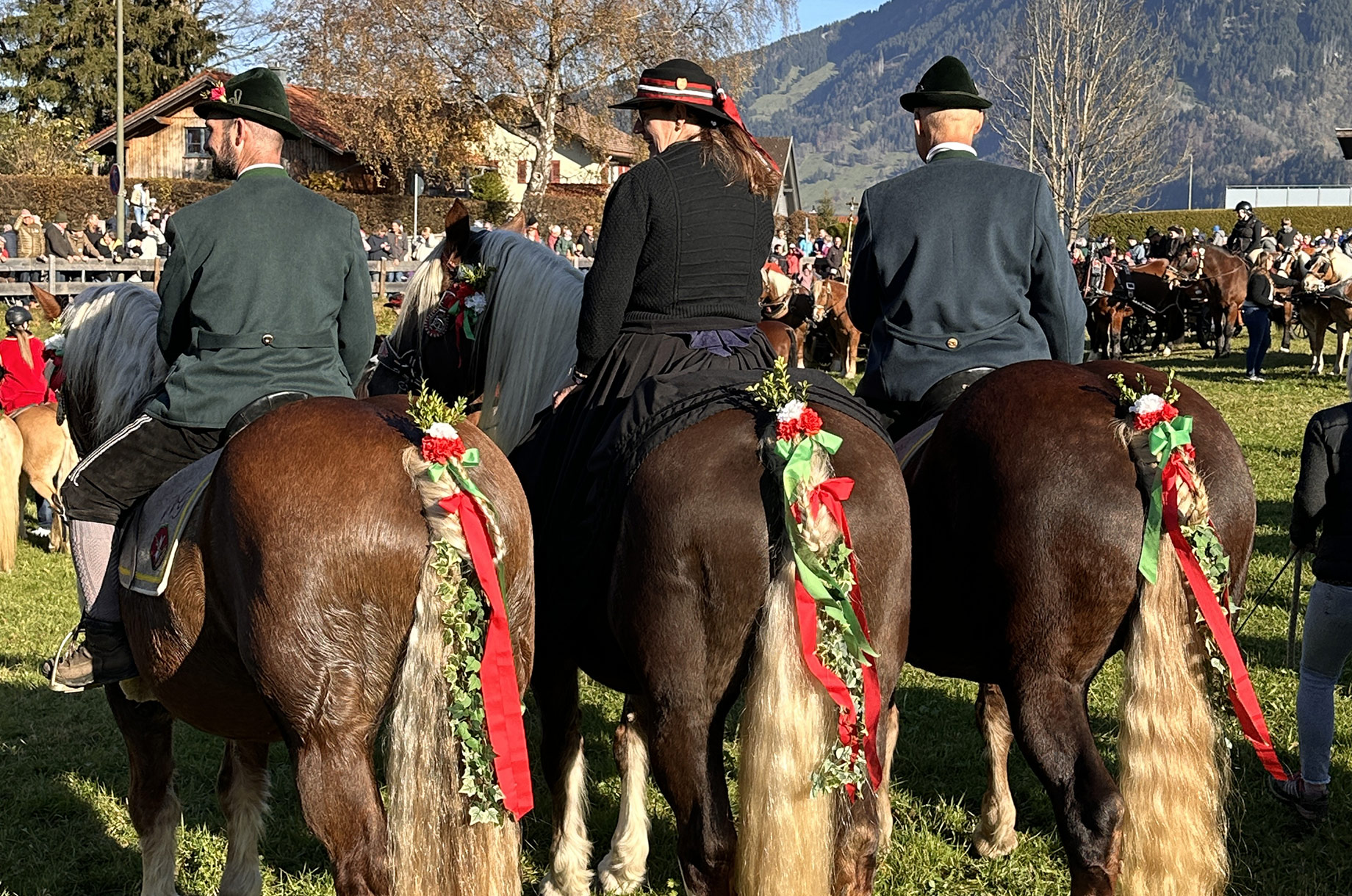 Veranstaltungen im Oberallgäu: Martinusritt mit Pferdesegnung in Blaichach - Martinusritt 2025 mit Pferdesegnung in Blaichach