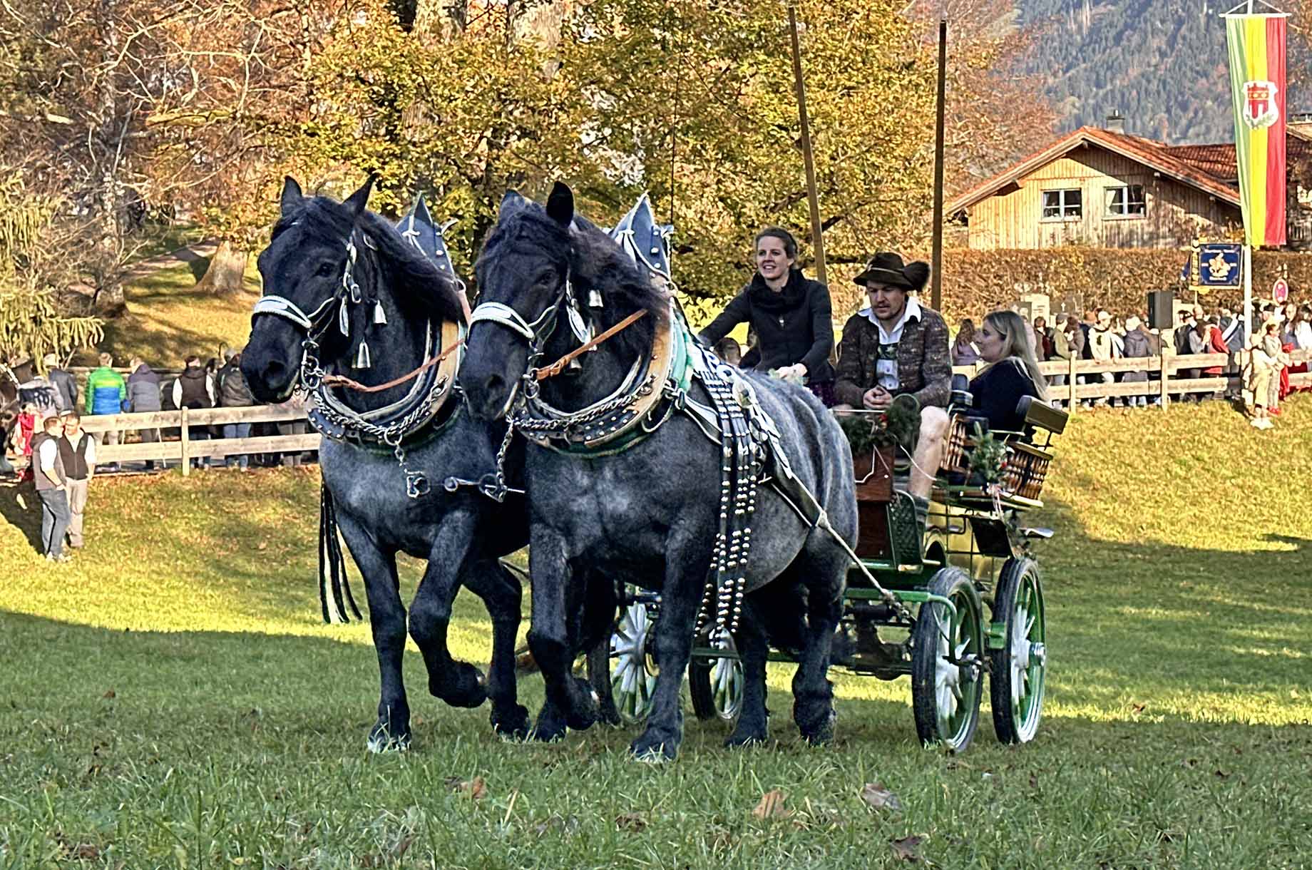 Veranstaltungen im Oberallgäu: Martinusritt mit Pferdesegnung in Blaichach - Martinusritt 2025 mit Pferdesegnung in Blaichach