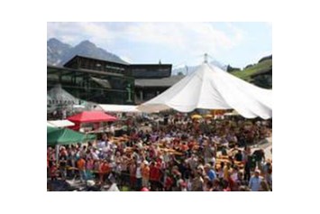 veranstaltung: abgesagt: Sommerfest der "Walser Rettung"