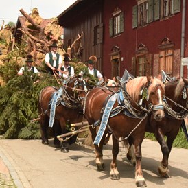 Veranstaltungen im Oberallgäu: Wilde Mändle Tanz in Oberstdorf im Allgäu - Wilde Mändle Tanz in Oberstdorf 2023