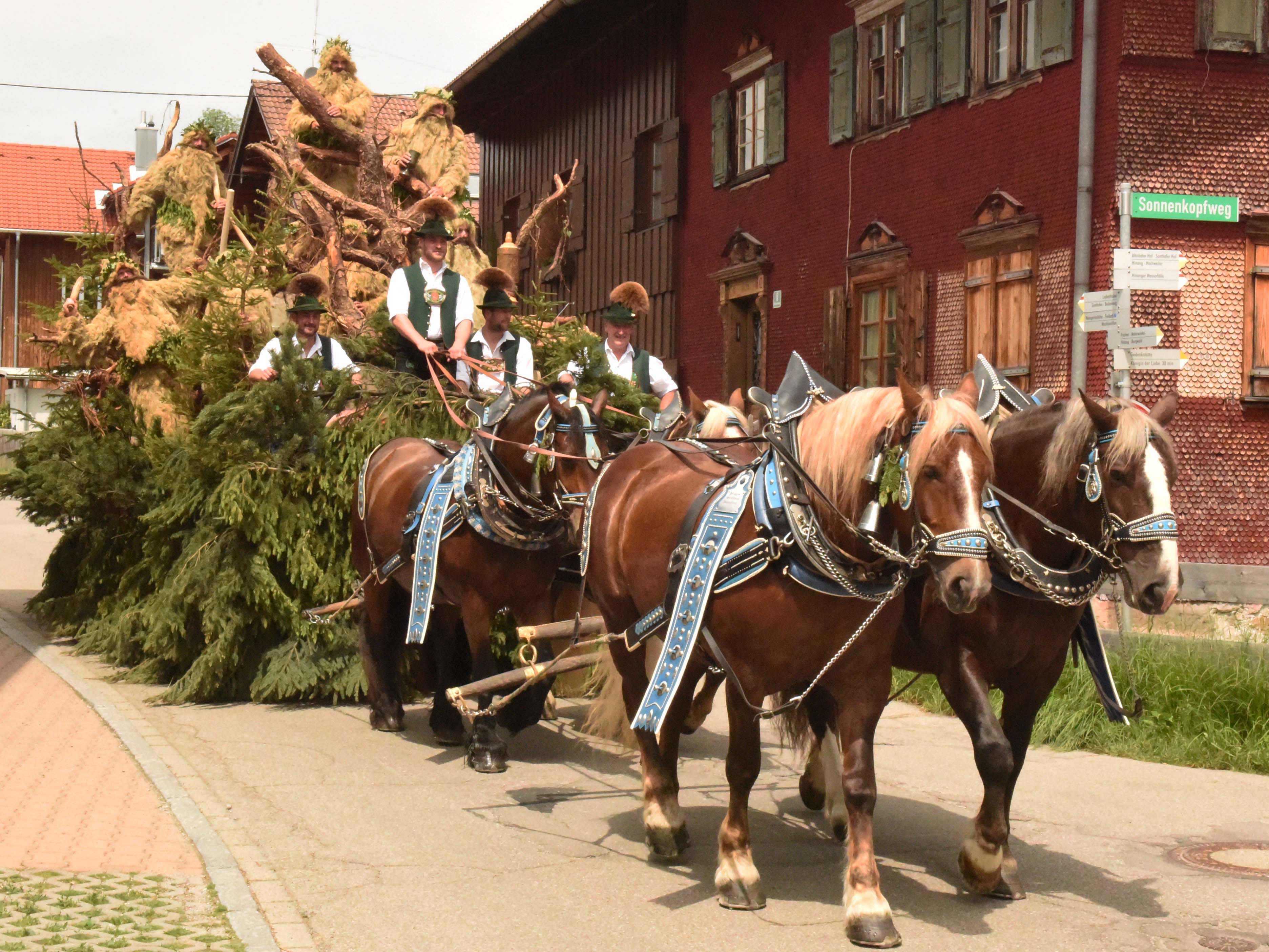 Hotels und Ferienwohnungen im Oberallgäu - Wilde Mändle Tanz in Oberstdorf im Allgäu - Wilde Mändle Tanz in Oberstdorf