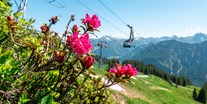 Hotels und Ferienwohnungen im Oberallgäu - Kategorien: Musik - Bayern - Berglar-Kirbe mit Alphornbläsern und Bergmesse - Berglar-Kirbe 2024 mit Bergmesse auf dem Fellhorn