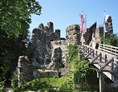 Veranstaltungen im Oberallgäu: Burgfest auf der Alt-Trauchburg - Burgfest auf der Alt-Trauchburg