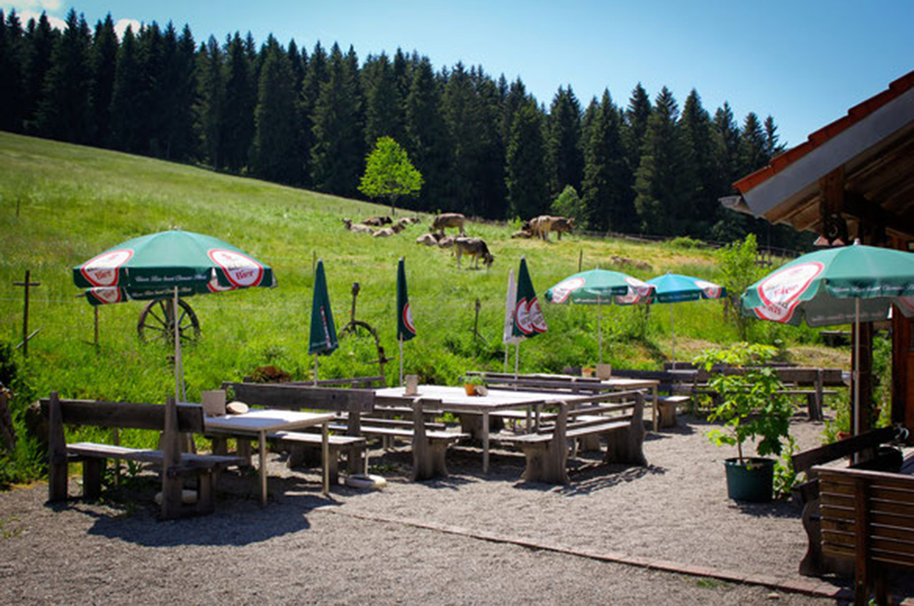 Hotels und Ferienwohnungen im Oberallgäu - Oberallgäu - ELEVEN IS ONE LOUDER am 27.06.2026 live auf Frommknechts Alpe  - ELEVEN IS ONE LOUDER - live auf Frommknechts Alpe