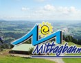 Veranstaltungen im Oberallgäu: Gebirgsmarathon 2022 in Immenstadt