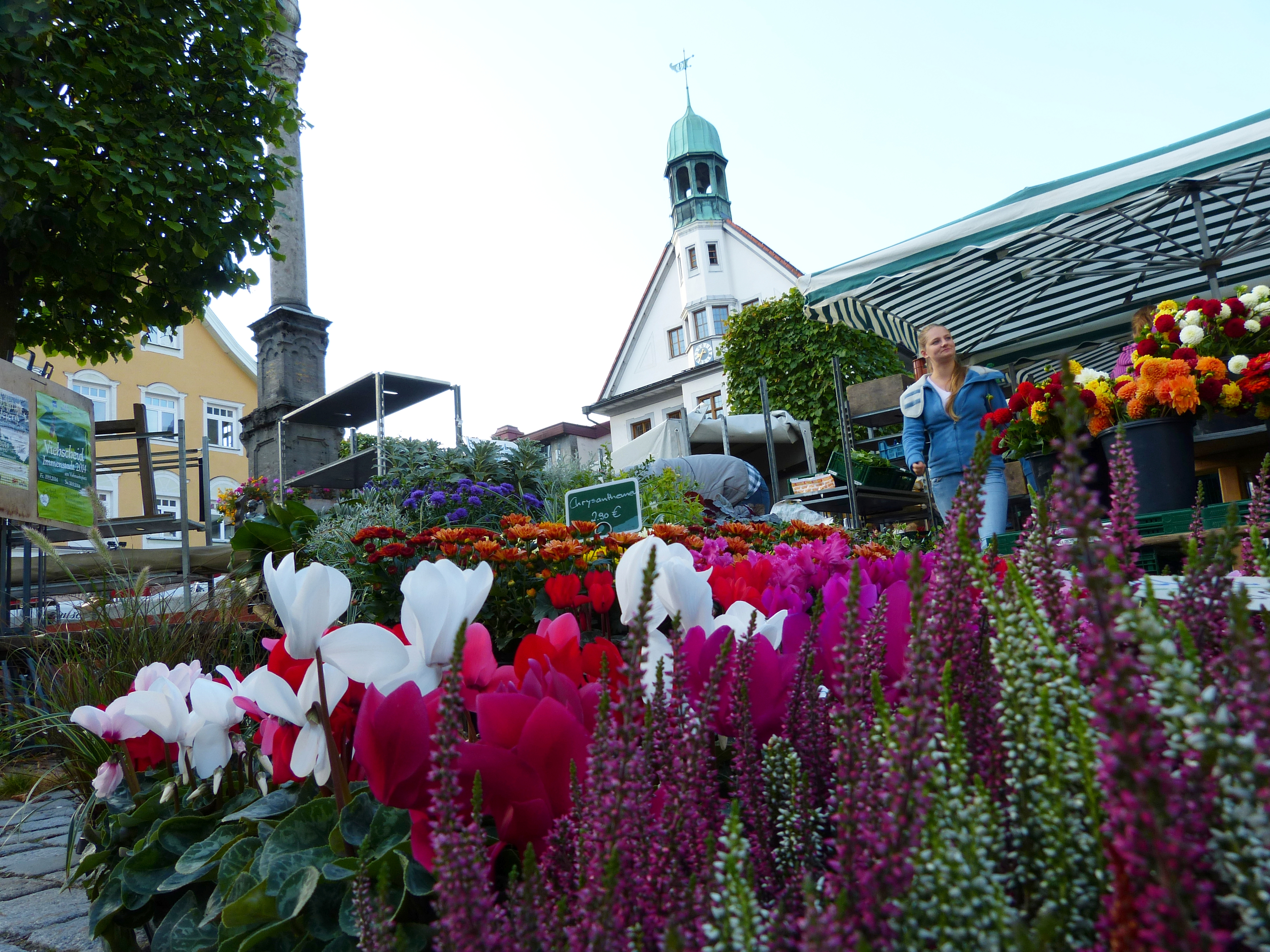Hotels und Ferienwohnungen im Oberallgäu - Michaelimarkt in Immenstadt - Michaelimarkt 2026 in Immenstadt