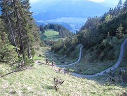 Veranstaltungen im Oberallgäu: NTC Trailrunning Testival