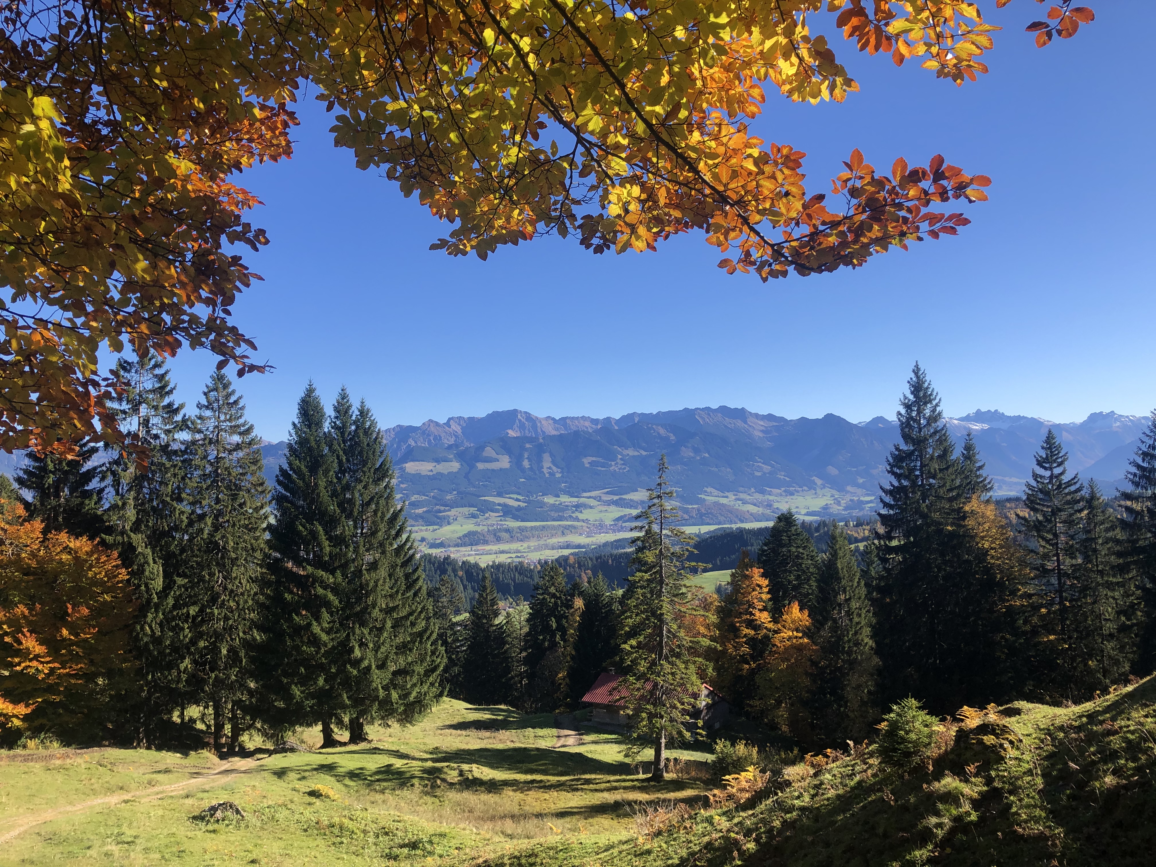 Hotels und Ferienwohnungen im Oberallgäu - Wetter: bei jedem Wetter - Draußen Daheim - Wanderwoche in Immenstadt im Allgäu - Draußen Daheim - Wanderwoche in Immenstadt im Allgäu