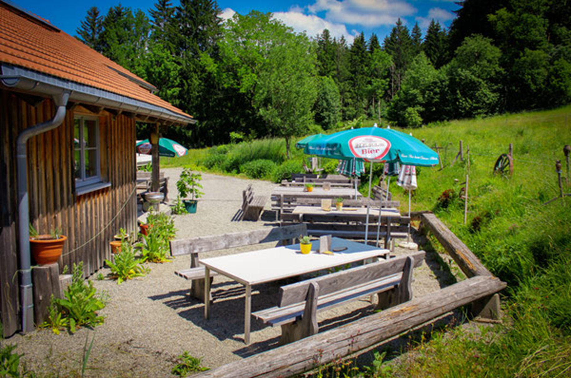 Hotels und Ferienwohnungen im Oberallgäu - Kategorien: Musik - Feiertagskonzert mit Lemonpepper auf Frommknechts Alpe - Vatertagskonzert mit Lemonpepper auf Frommknechts Alpe
