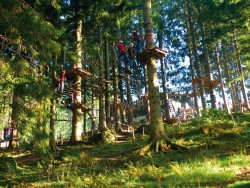 Veranstaltungen im Oberallgäu: Saisonsstart der Alpsee Bergwelt und Open Bär Festival
