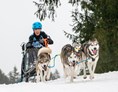Veranstaltungen im Oberallgäu: Schlittenhunderennen in Bad Hindelang - Unterjoch - Schlittenhunderennen 2024 in Bad Hindelang - Unterjoch